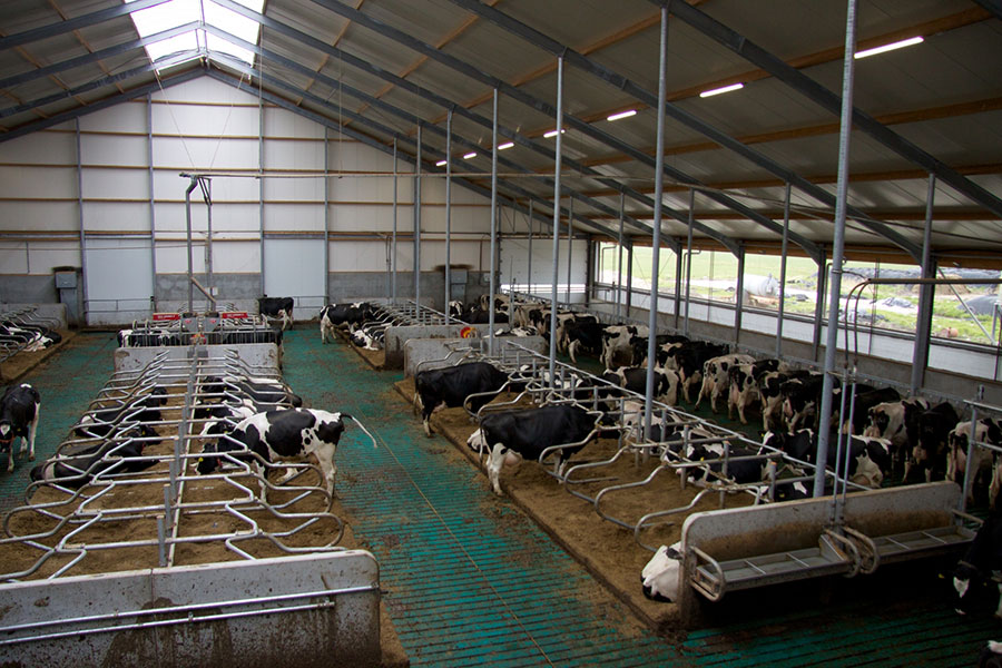 Agrarische bouw Giethoorn