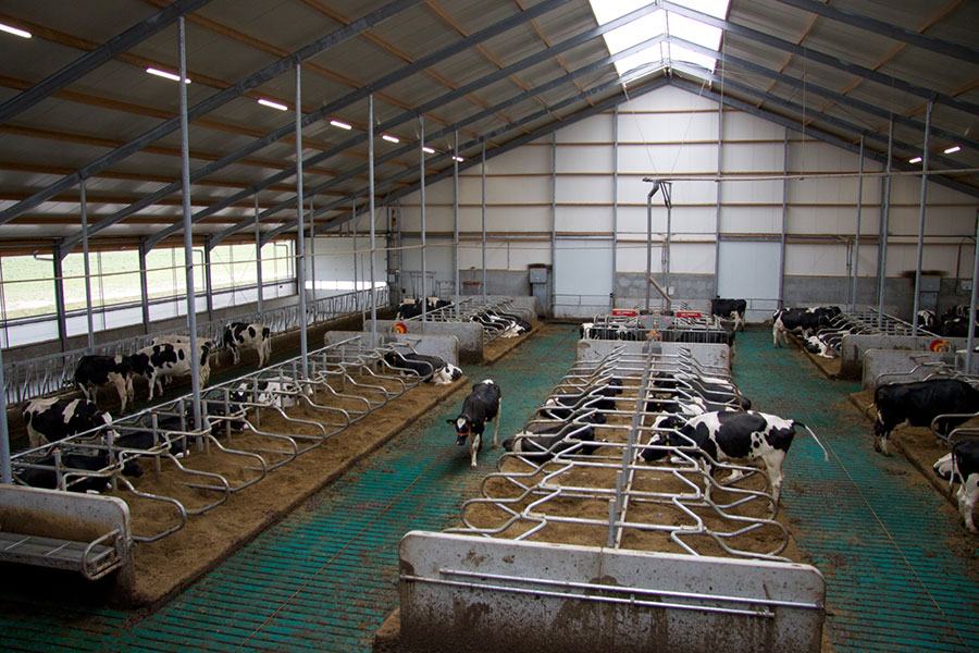 Agrarische bouw Giethoorn