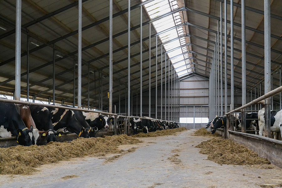 Agrarische bouw Nijelamer