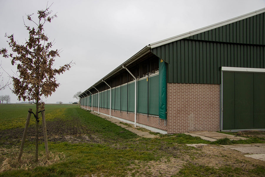 Agrarische bouw Nijelamer