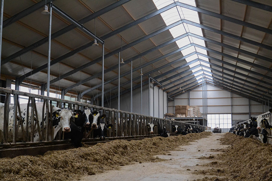 Agrarische bouw Wytgaard