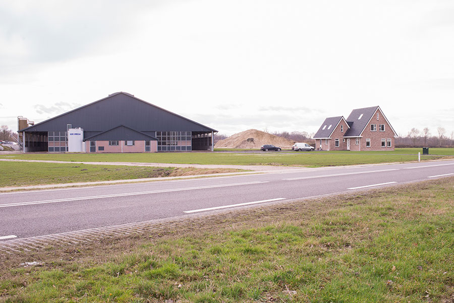 Woningbouw Witte paarden
