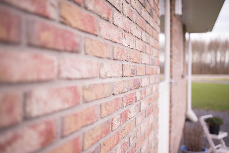 Woningbouw Witte paarden